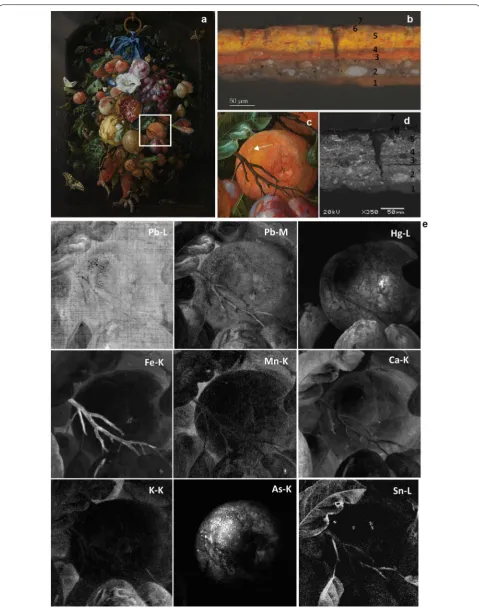 Fig. 6 Painting Festoon of Fruit and Flowers (a), light microscopic image (×1000 magnification) in dark field of a cross-section taken from a highlight of an orange (b)
