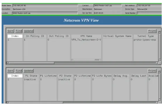 Figure 3:  Netscreen VPN View