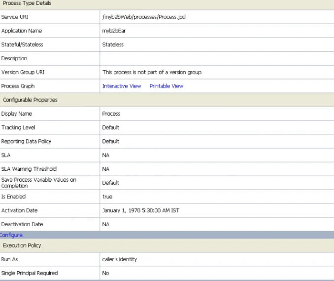Figure 2-3  Process Type Details Page