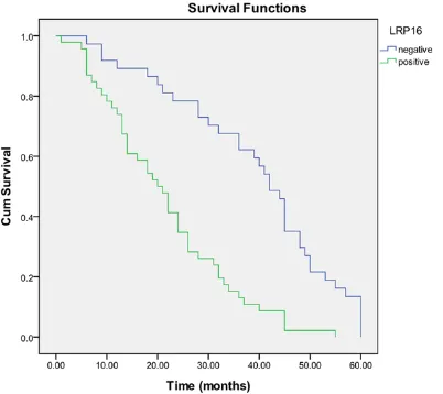 Figure 5. Kaplan-Meier survival analysis by LRP16 status (n = 90). The y-axis represents the percentage of patients; the x-axis, their survival in months
