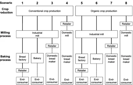 Figure 1: Schematic representation of the 8 life cycle scenarios of bread production (solid lines indicate standard transports, broken lines indicate transports by consumer)