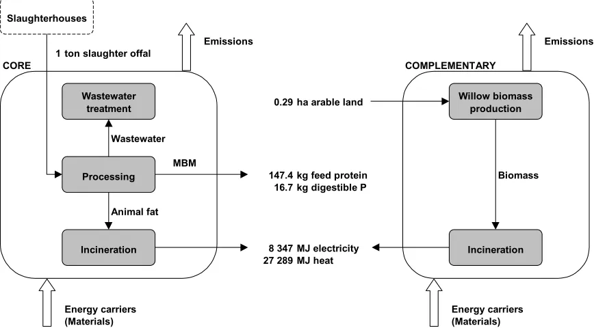Figure 1. Scheme of alternative 1: Processing of slaughter offal to MBM (feed) and to animal fat (fuel)