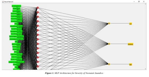 Figure 1. MLP Architecture for Severity of Neonatal Jaundice. 