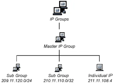 Fig. 1-1  IP diagram with a sample master IP group and its members