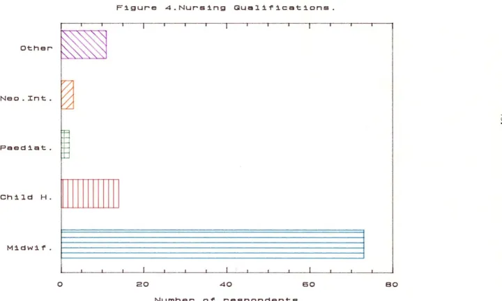 Figure 4.Nursing Queli'f'ications. 