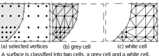 Figure 11-(a) shows selected vertices from the quadtree and selected edges from 1-cells