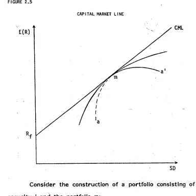 FIGURE 2.5 CAPITAL MARKET LINE 