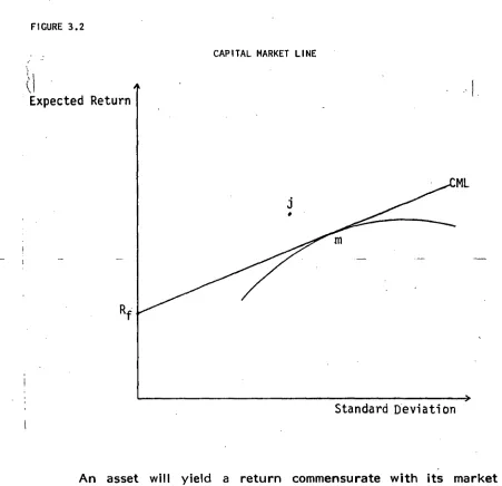 FIGURE 3.2 CAPITAL MARKET LINE 