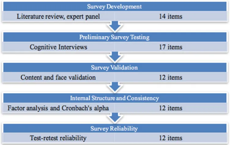 Figure 1. The B. E. A. N. Survey Development and Testing Process. 