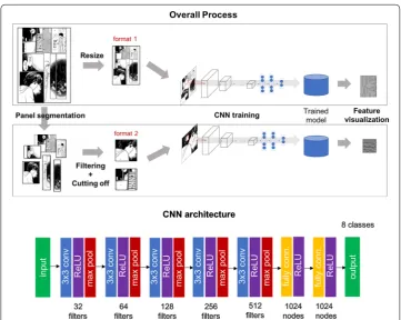 Fig. 2 Panel image examples after post‑processing