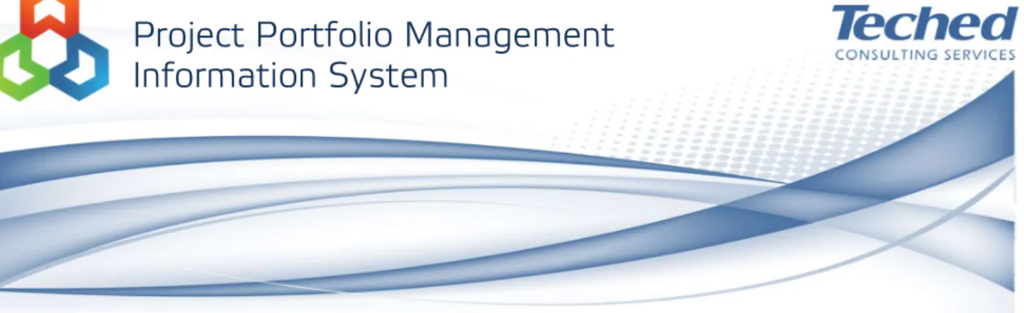Figure 1. Project Portfolio MIS Overview