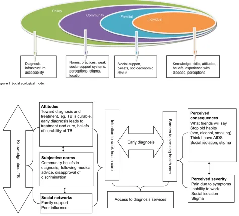 Figure 1 Social ecological model.