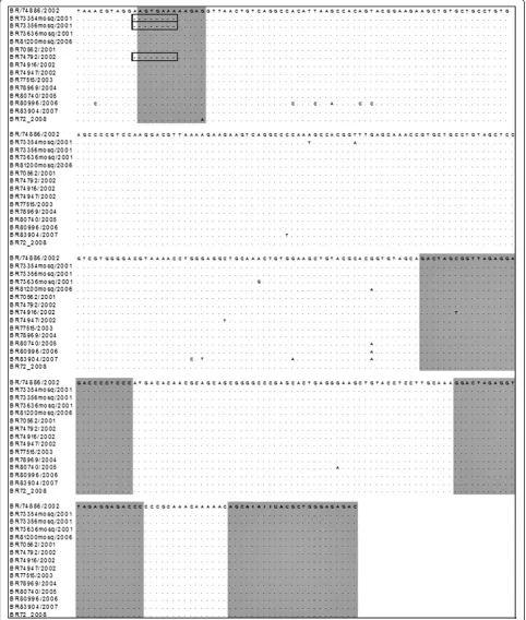 Figure 2 Multiple nucleotide sequence alignment of the Brazilian DENV-3 3′UTR from additional strains isolated from mosquitoes Ae.aegypti (n=4) and humans (n=10) from 2001 to 2008