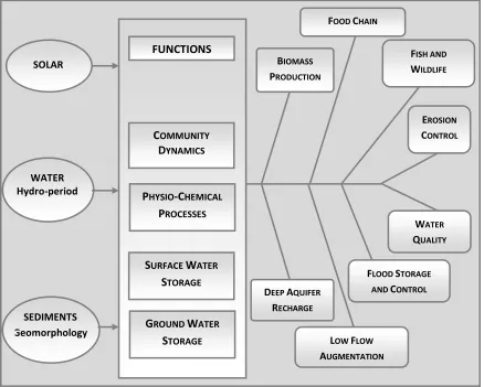 Figure 5.1: Relationship between functions and values of bottomland hardwood forest  (source: Taylor et al., 1990)