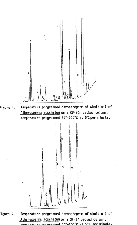 Figure 1.  Temperature programmed chromatogram of whole oil of 