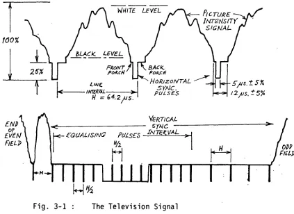 Fig. 3-1 :  The Television Signal 