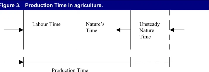 Figure 3. Production Time in agriculture. 