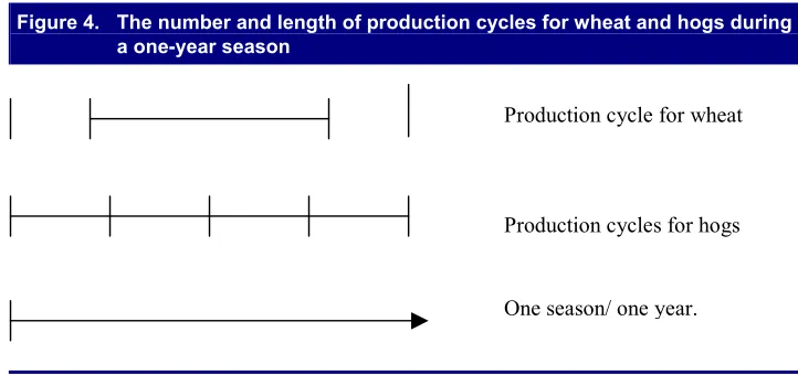 Figure 4. The number and length of production cycles for wheat and hogs during 