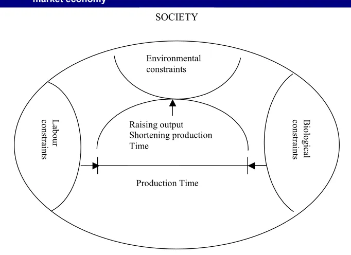 Figure 5. The connection between farming and environmental constraints in a 