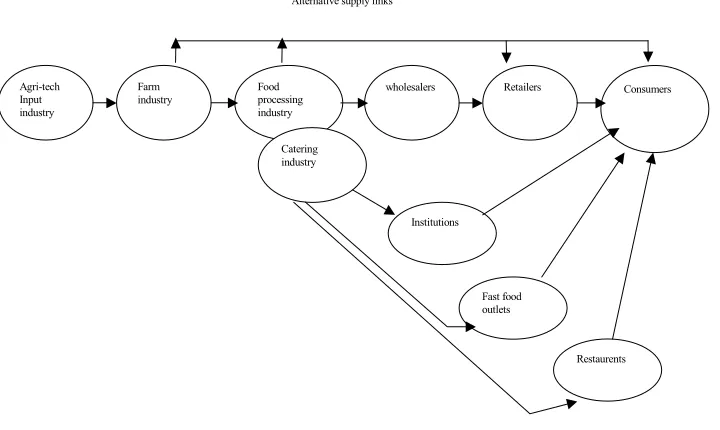 Figure 7. The modern organic food commodity chain 