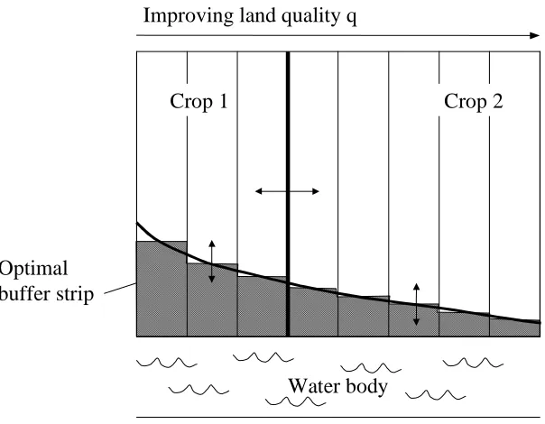 Figure 5. Land allocation and optimal buffer strip area  in each parcel.