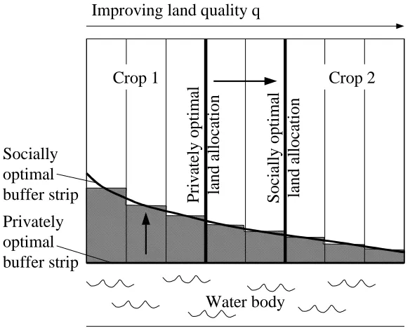 Figure 6. The privately and socially optimal buffer strips and land allocation.