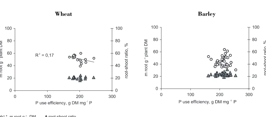 Figure 1. The relations between average values for each accession for P use efficiency (PUE) and root/shoot ratio,and PUE and m root g-1 plant DM (L*), for 17 wheat and 35 barley accessions grown in circulating low-P nutrientsolution.