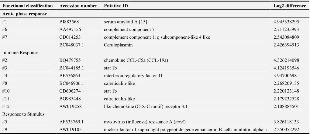 Table 2. Log2 changes in expression of zebrafish transcripts that were up-regulated (p< 0.05) following primary infection (SE2) compared to non-infected (SS) controls