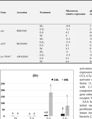 Figure 1. Fold changes in ifnγ gene expression in kidney 24 and 48 hpi of E. ictaluri, measured by quantitative real-time PCR