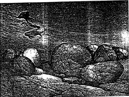 Fig. 32.  A. Roberts' black and white sketch for "Mirram and Wareen The Hunters, The Dreamtime