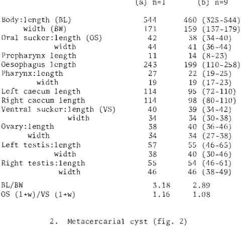 table The 8. layers: a 