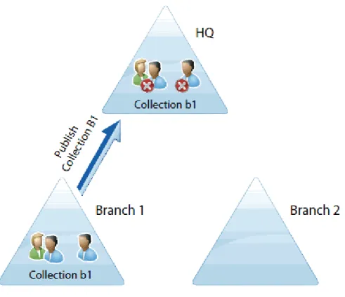 Figure 2:  Publication and synchronization process