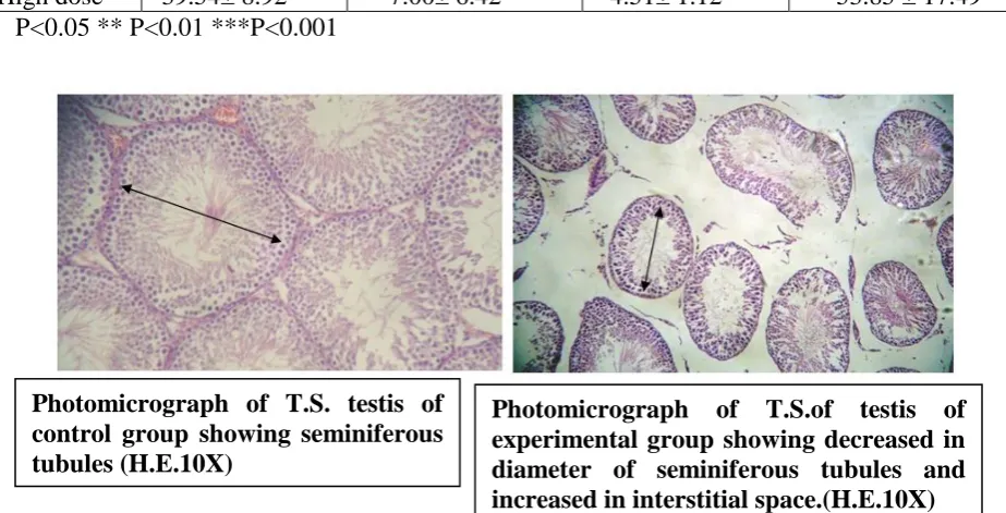 Table. IV: Number of different types of germ cells (primary spermatocytes and 