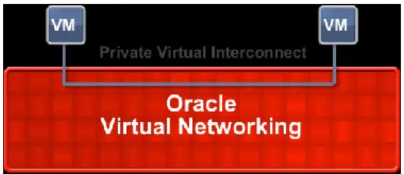 Figure 1. Private virtual interconnects enable you to flexibly connect from virtual machines  to other resources