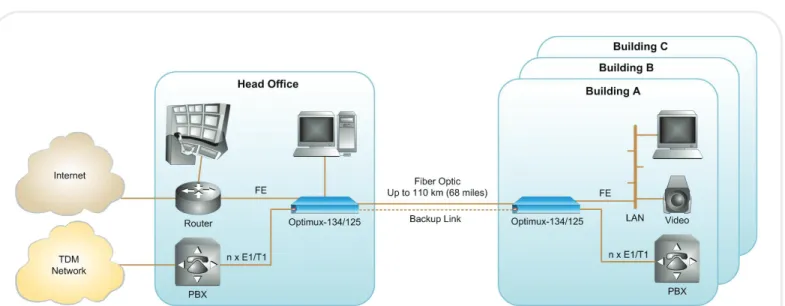 Figure 1.  Optimux-134/125 Sharing Campus Services over Fiber Optic Link  