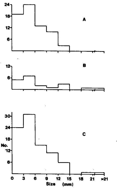 Figure 4 . 2  S i z e  d i s t r i b u t i o n  o f  p l a g i o c l a s e  phenocrgsts between t h o l e i l t l c  ( A )  and a l k a l i n e  (8) lava variants and lor the Lava6 a s  a group ( C ) 