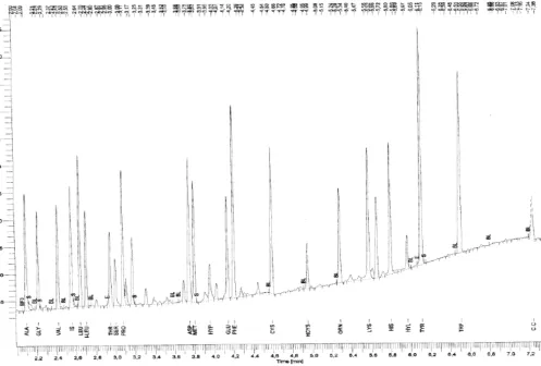 Fig. 4. Chromatogram of reference standard solution of aminoacids, used for the calibration before the analysis of free aminoacids in sample of Aminogame 1500 solution.[15]