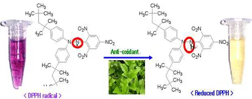 Fig. 1. 2, 2'-diphenyl-1-picrylhydrazyl,   2, 2'-diphenyl-picrylhydrazine. 