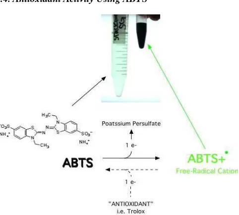 Fig. 2. Antioxidant interaction (BCB). 