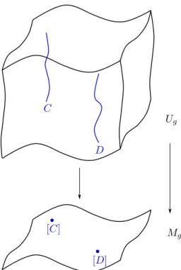 Figure 11: Visualization of a (non-existent) universal family over M g .