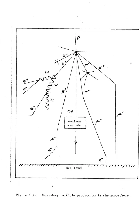 Figure 1.2.  Secondary particle production in the atmosphere. The horizontal scale is greatly exaggerated