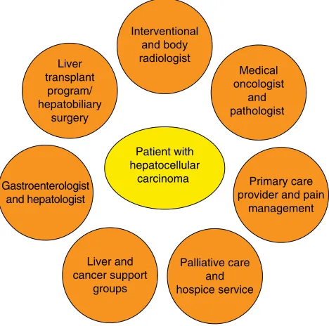 Figure 1 Barcelona Clinic Liver Cancer staging system.Notes: Barcelona Clinic Liver Cancer stages: very early stage (0), early stage (A), intermediate stage (B), advanced stage (C), terminal stage (D)