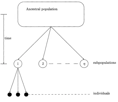Figure 2: Population substructure model.