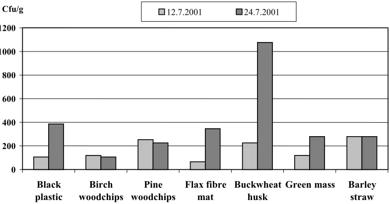 Fig. 2. Shelf life of berries for different mulch treatments. Harvesting date 16.7.2001