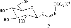 Figure 1. The general structure of glucosinolate [13, 14]. 
