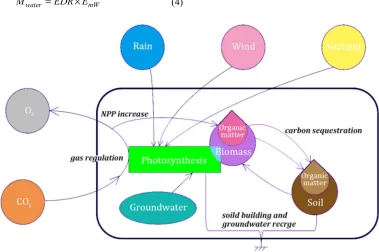Figure 3. The ecosystem services provided by land. 