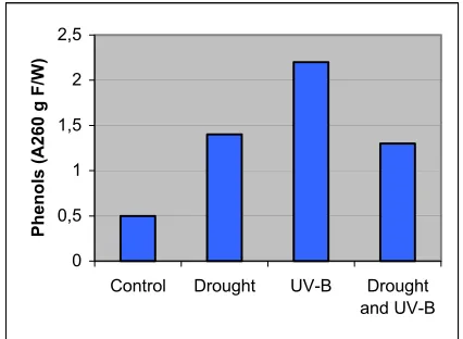 Figure 2: Changes in the content of phenols in   