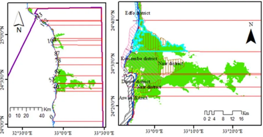 Figure 5. Accumulated cultivated area at east side of the study reach of River Nile, year 2015
