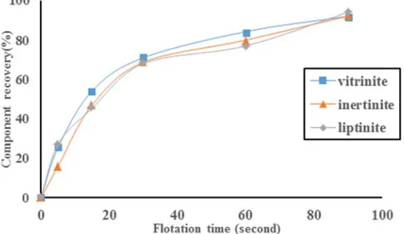 Figure 7. Flotation kinetics of the different macerals of the coal for the -500+150µ size fraction