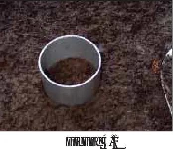 top of the ring and calculate the average.  Recordthe average on the Soil Data worksheet.Figure 4.1
